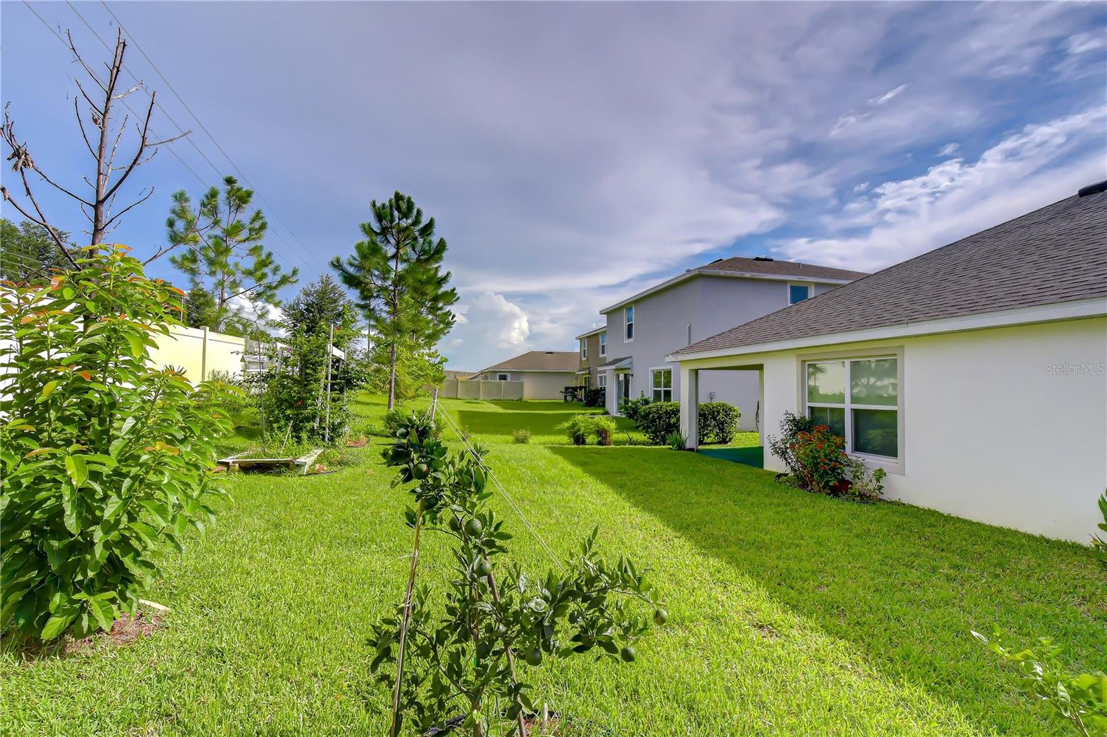 7760 Broad Pointe Dr, Zephyrhills, FL 33540 photo