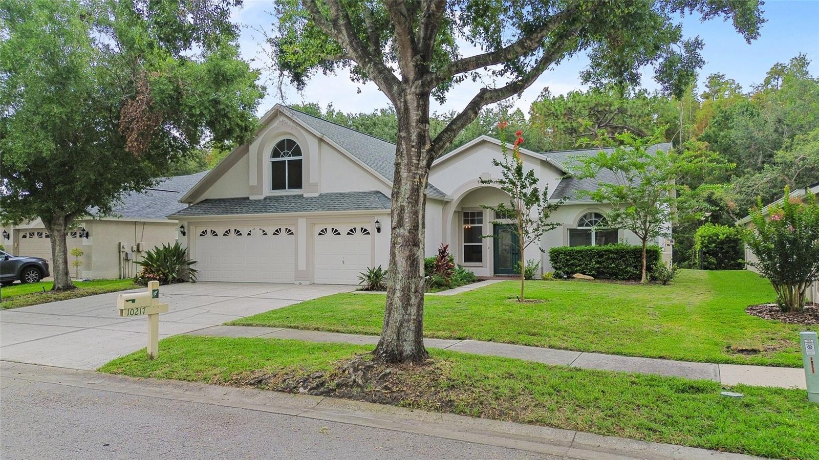 10217 Timberland Point Dr, Tampa, FL 33647 photo