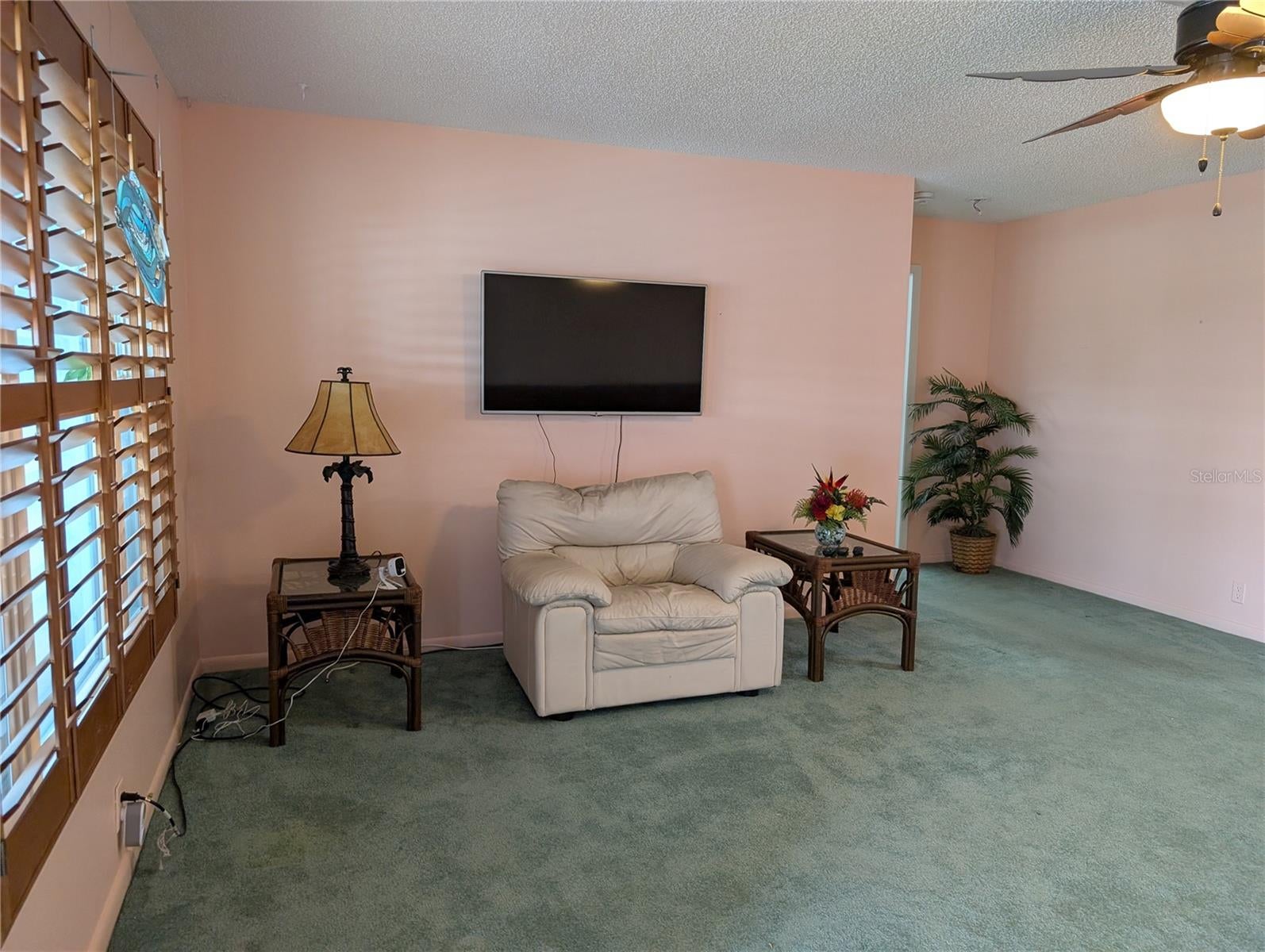 9204 36 Way #6, Pinellas Park, FL 33782 photo