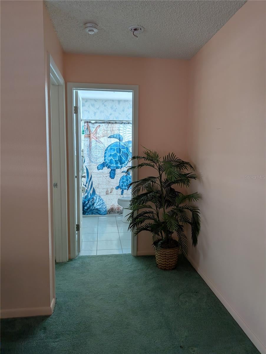 9204 36 Way #6, Pinellas Park, FL 33782 photo