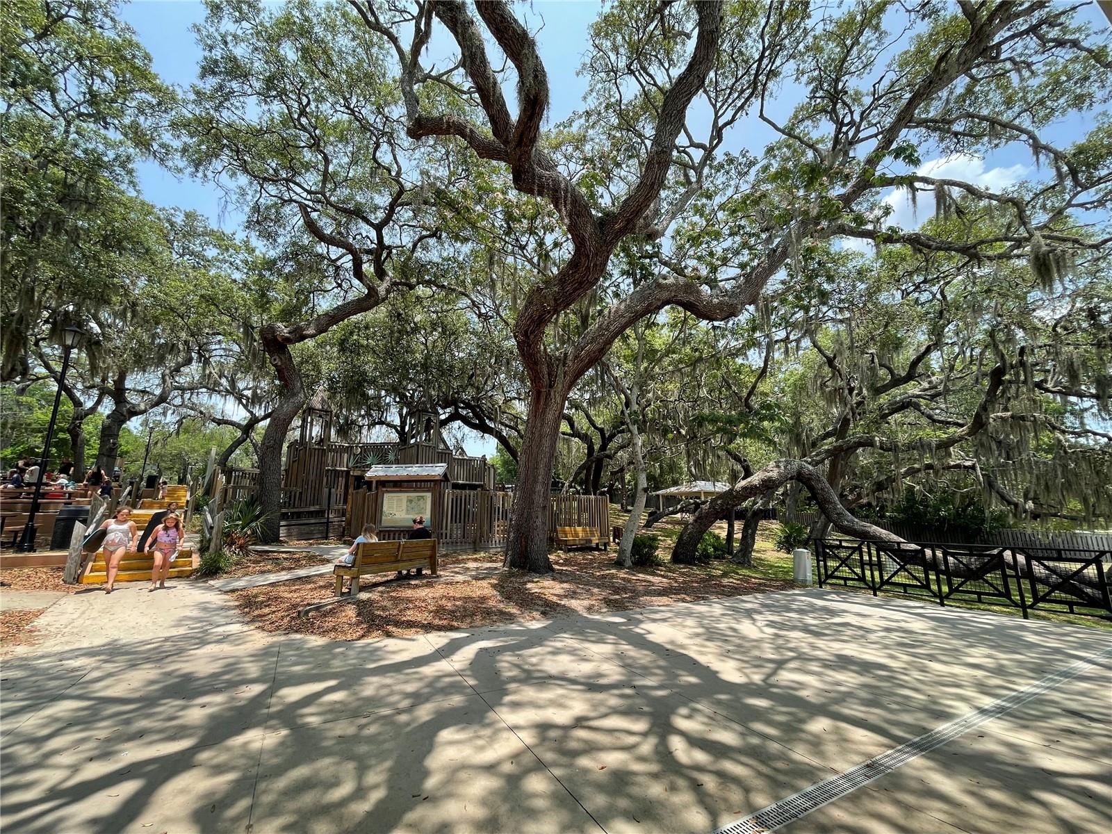 Single Family Residence in KEYSTONE HEIGHTS FL 395 SW GROVE STREET 28.jpg