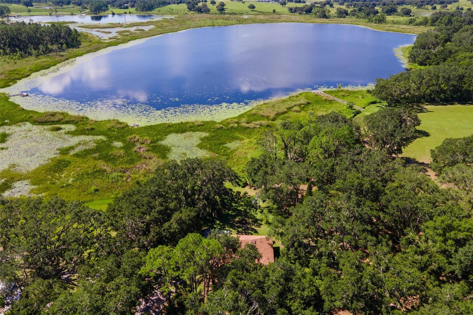 26833 Anderson Ranch Road, Yalaha, FL 34797 photo