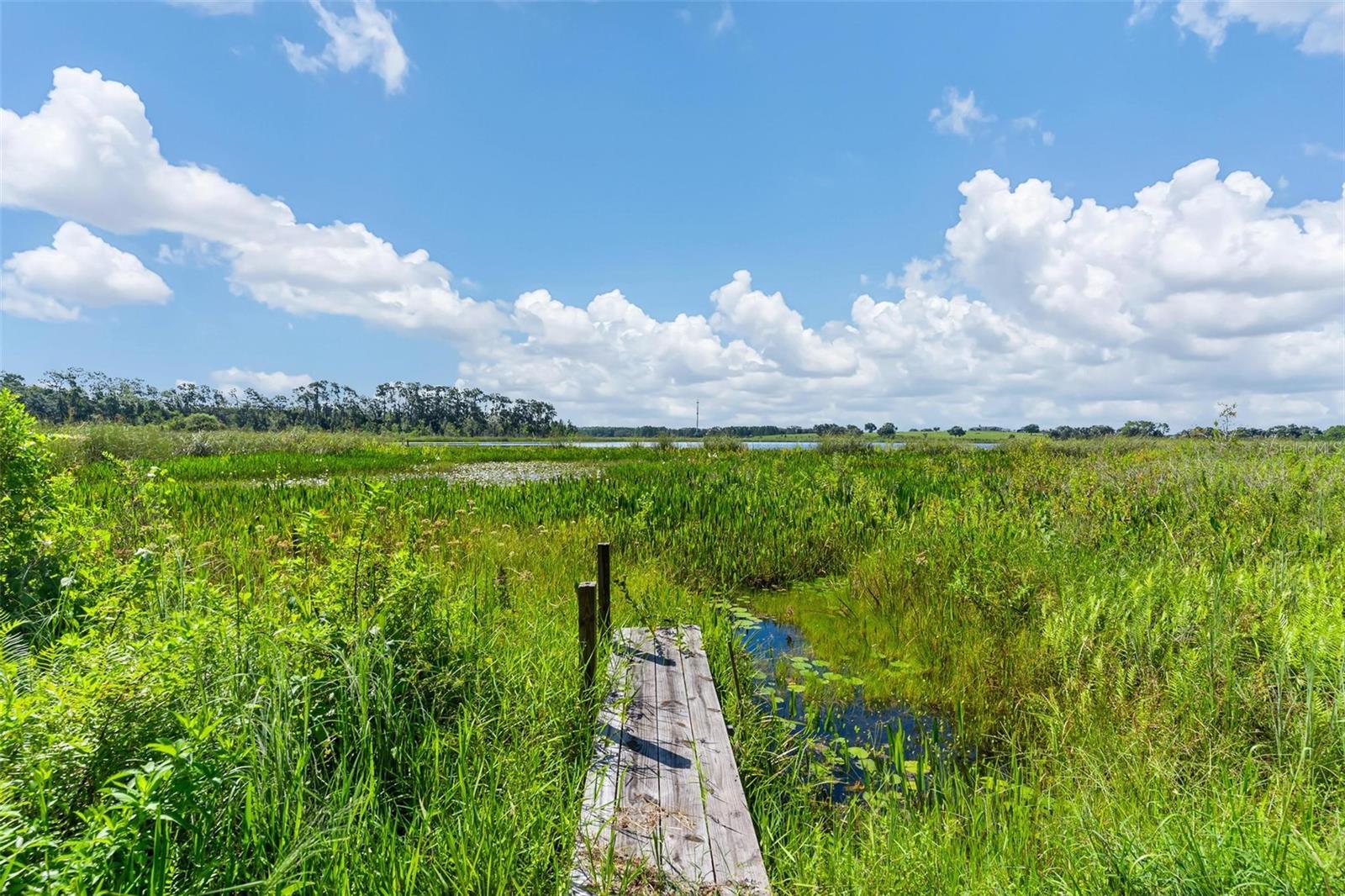 26833 Anderson Ranch Road, Yalaha, FL 34797 photo