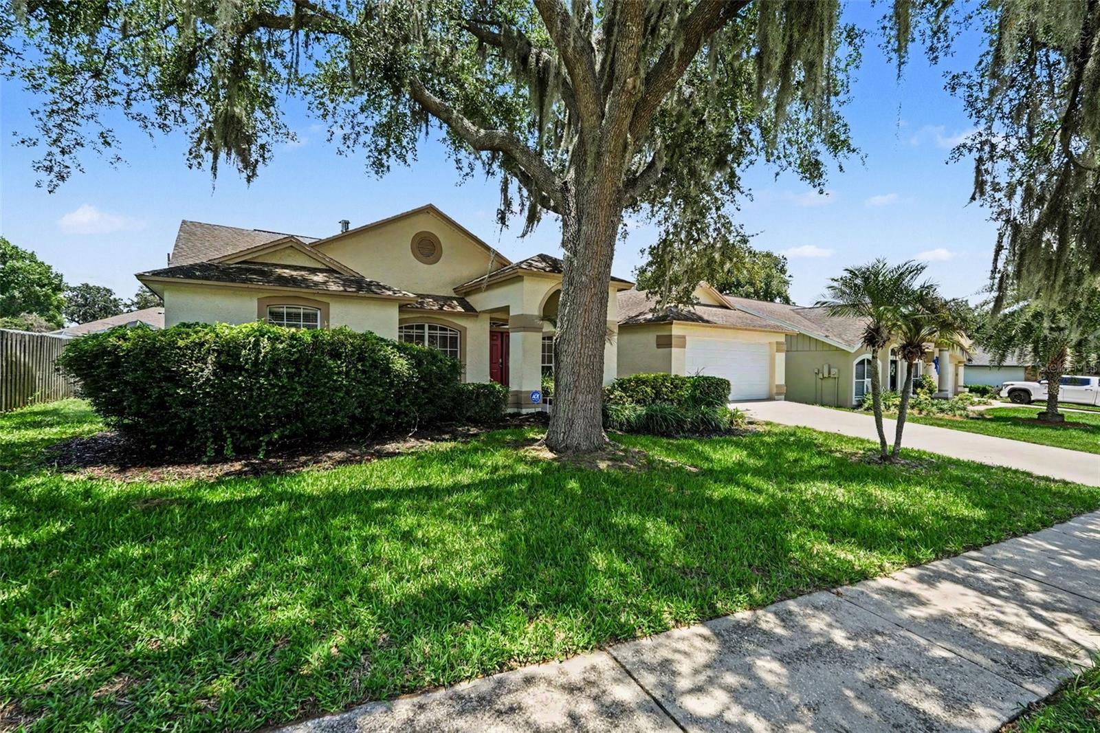 2909 Starmount Dr, Valrico, FL 33596 photo