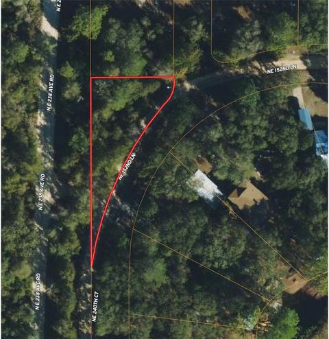  in SALT SPRINGS FL TBD 240TH COURT.jpg