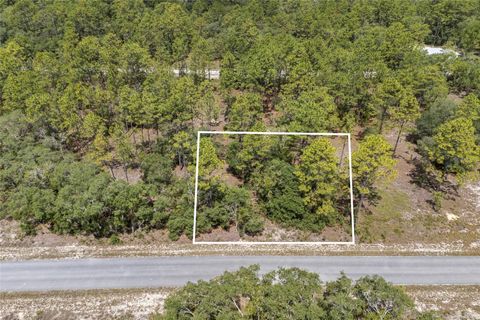  in DUNNELLON FL SW 134 TERRACE.jpg
