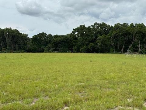  in CITRA FL NE 141.jpg