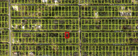  in GEORGETOWN FL 333 PALM WAY.jpg