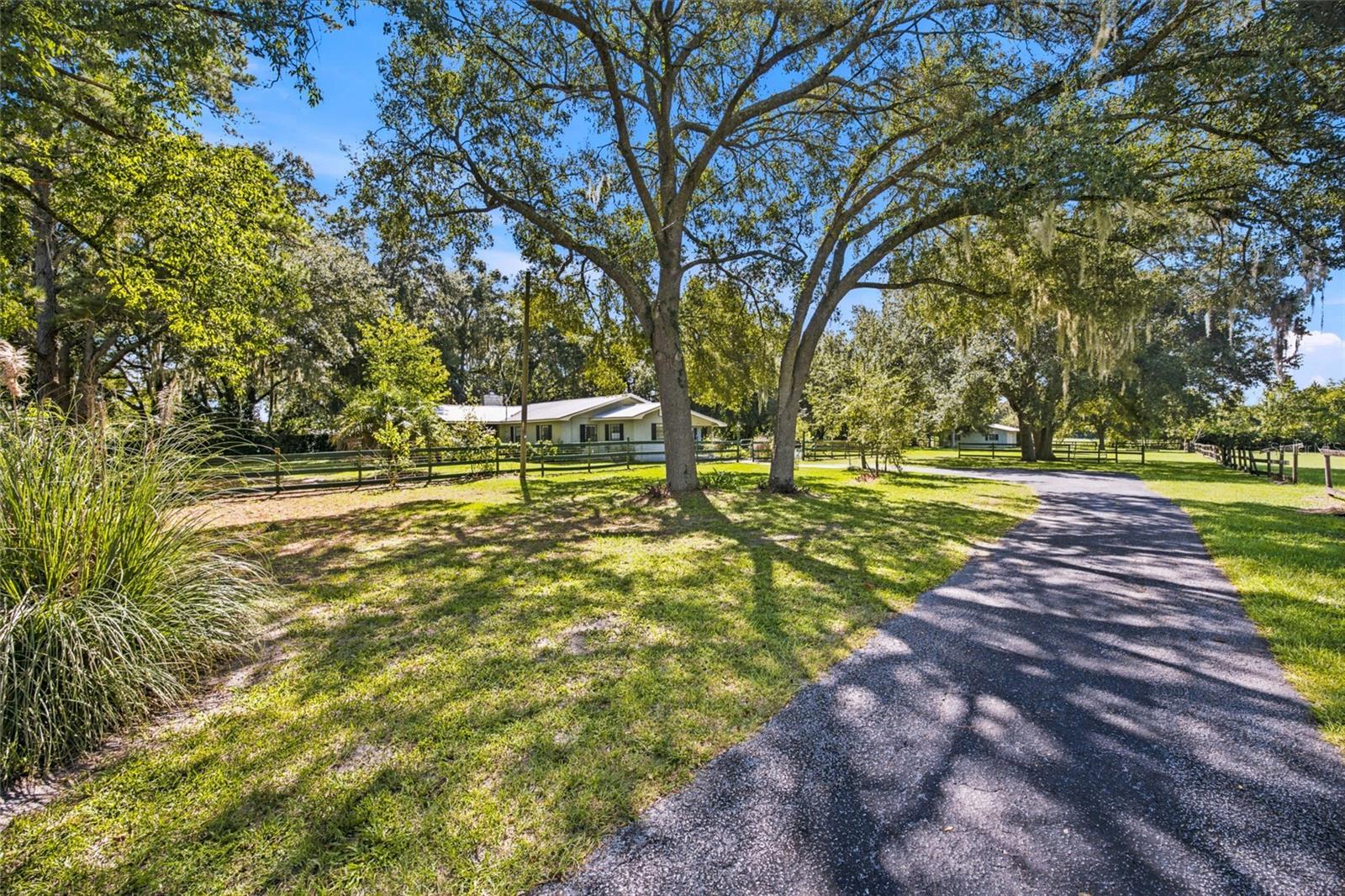 2460 SE 150 St, Summerfield, FL 34491 photo