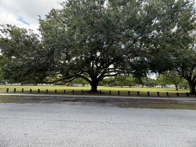 1006 W Adalee St, Tampa, FL 33603 photo