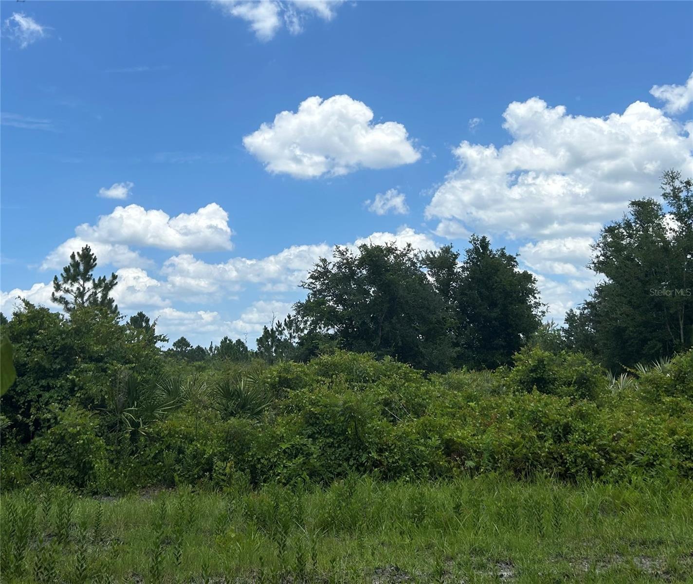 1671 Ford, Mims, FL 32754 photo