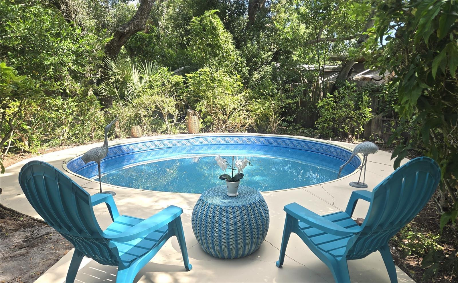 1721 Dorchester Rd, Clearwater, FL 33764 photo