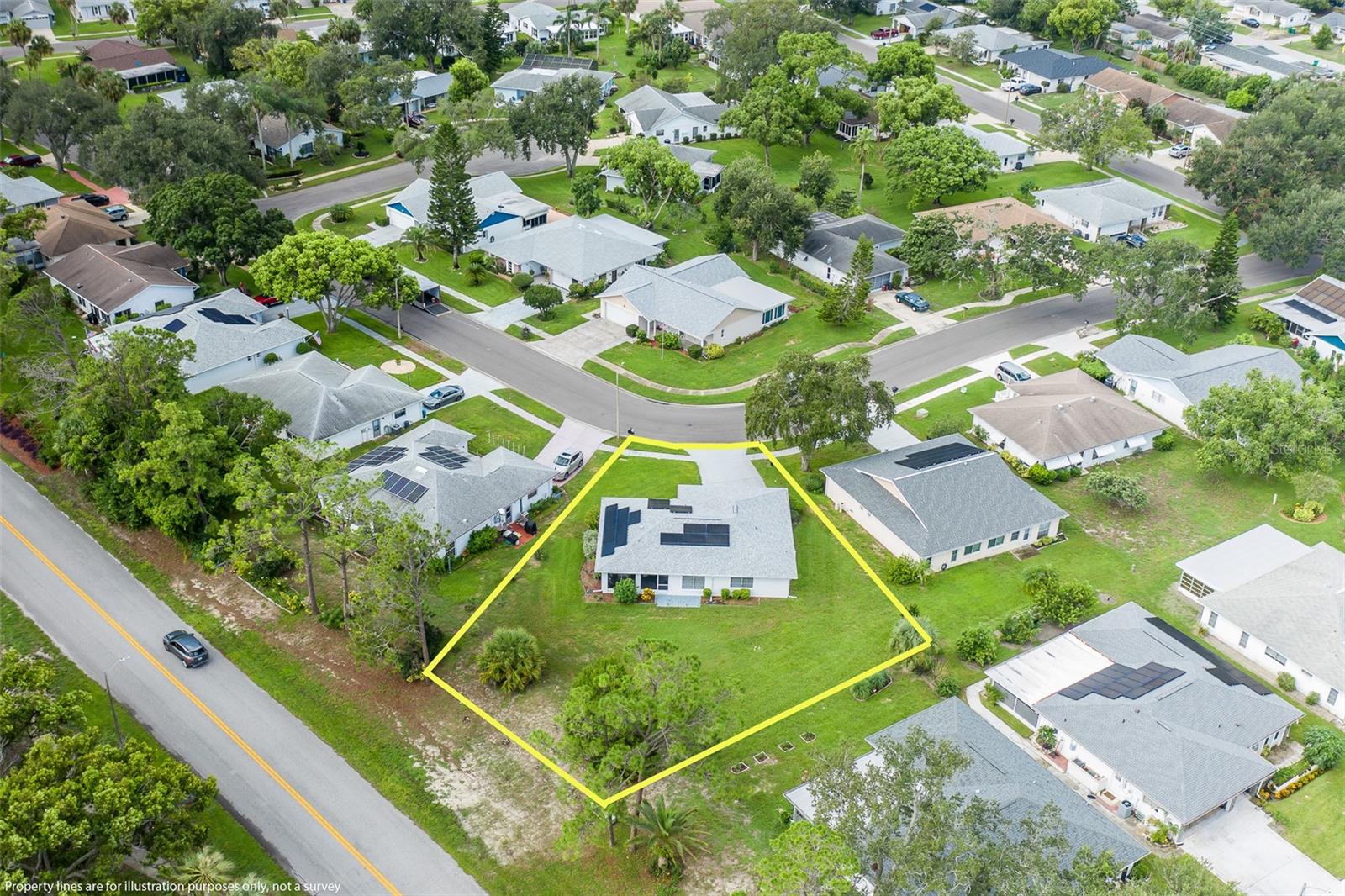 11210 Elderberry Dr, Port Richey, FL 34668 photo