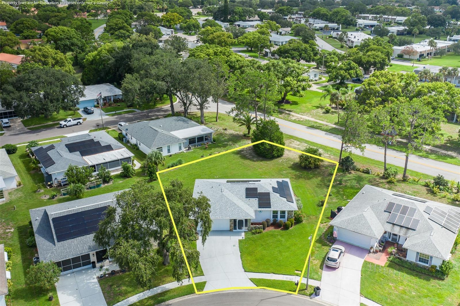 11210 Elderberry Dr, Port Richey, FL 34668 photo
