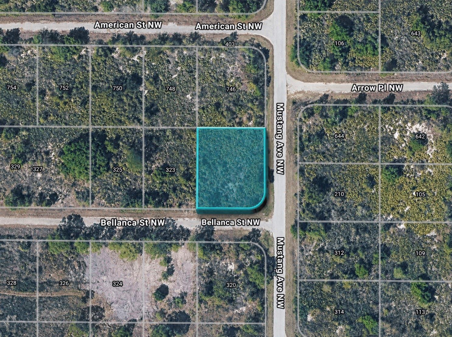 321 Bellanca St, Lake Placid, FL 33852 photo
