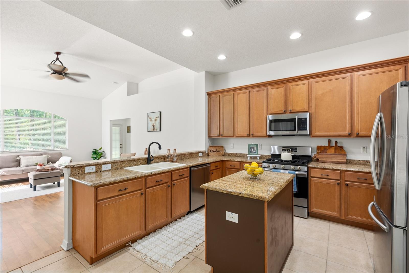 16132 Ivy Lake Dr, Odessa, FL 33556 photo