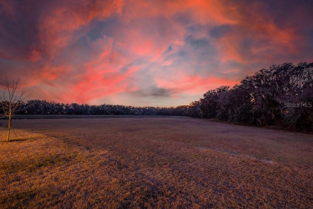 14604 Horse Trot Rd, Lithia, FL 33547 photo