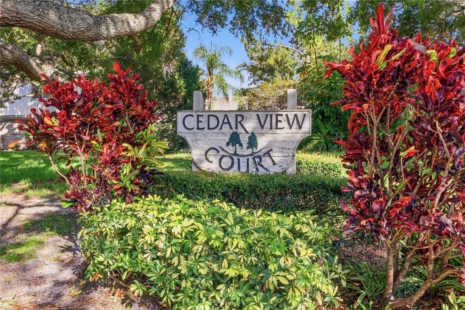 2628 Cedar View Ct, Clearwater, FL 33761 photo