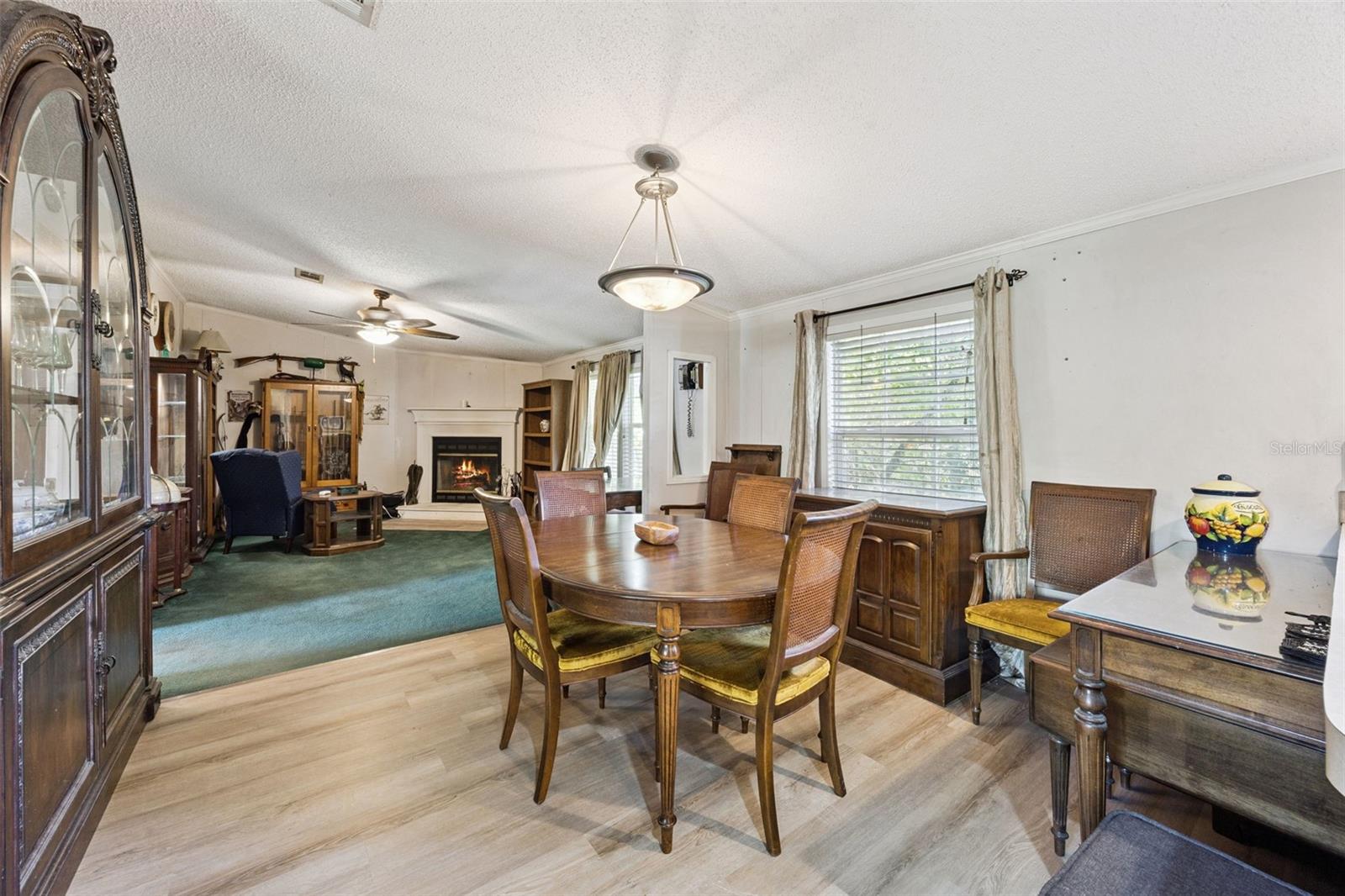 680 Wild Acres Rd, Osteen, FL 32764 photo