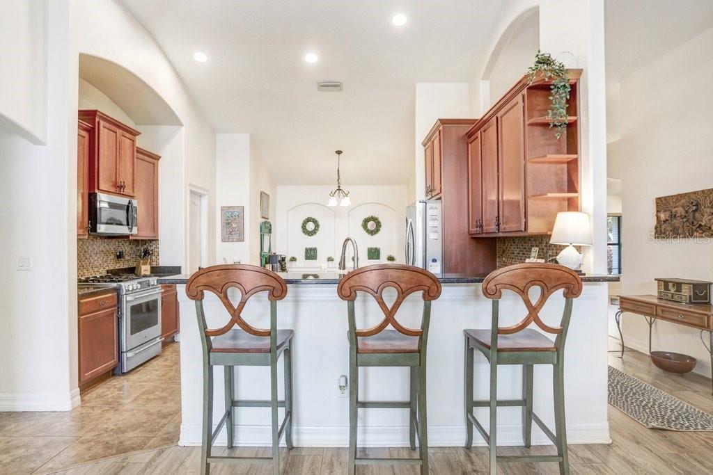 15723 Starling Water Dr, Lithia, FL 33547 photo