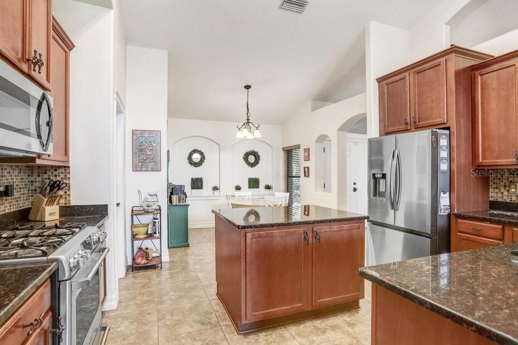 15723 Starling Water Dr, Lithia, FL 33547 photo