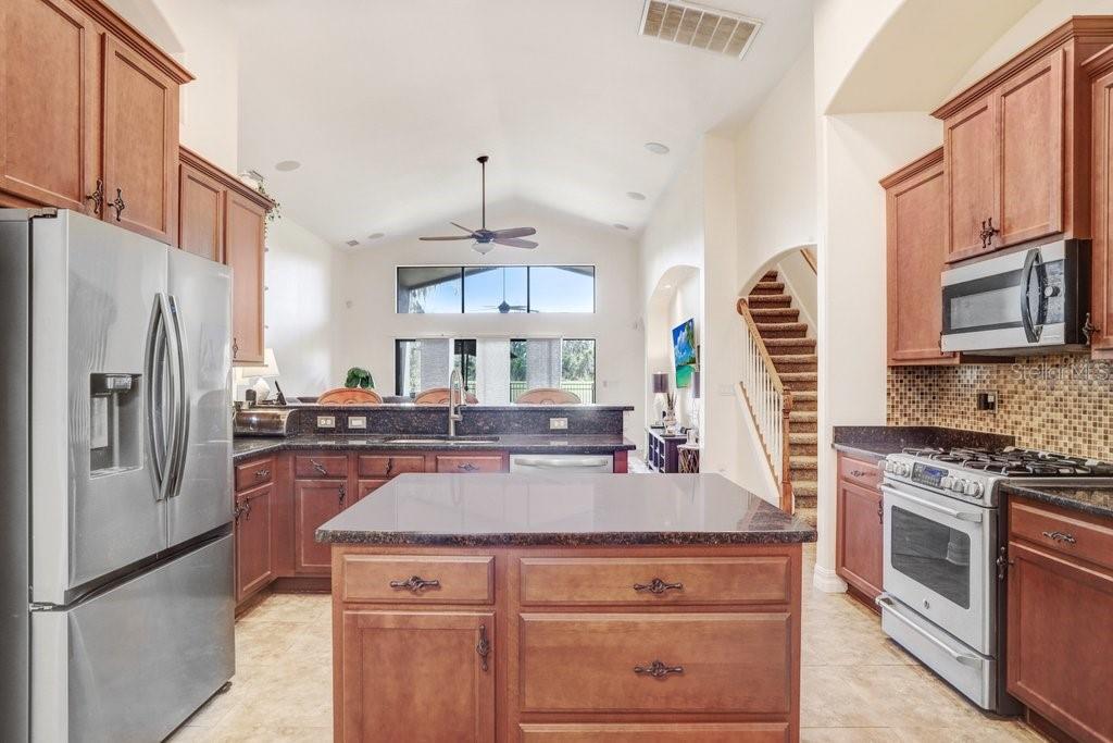 15723 Starling Water Dr, Lithia, FL 33547 photo