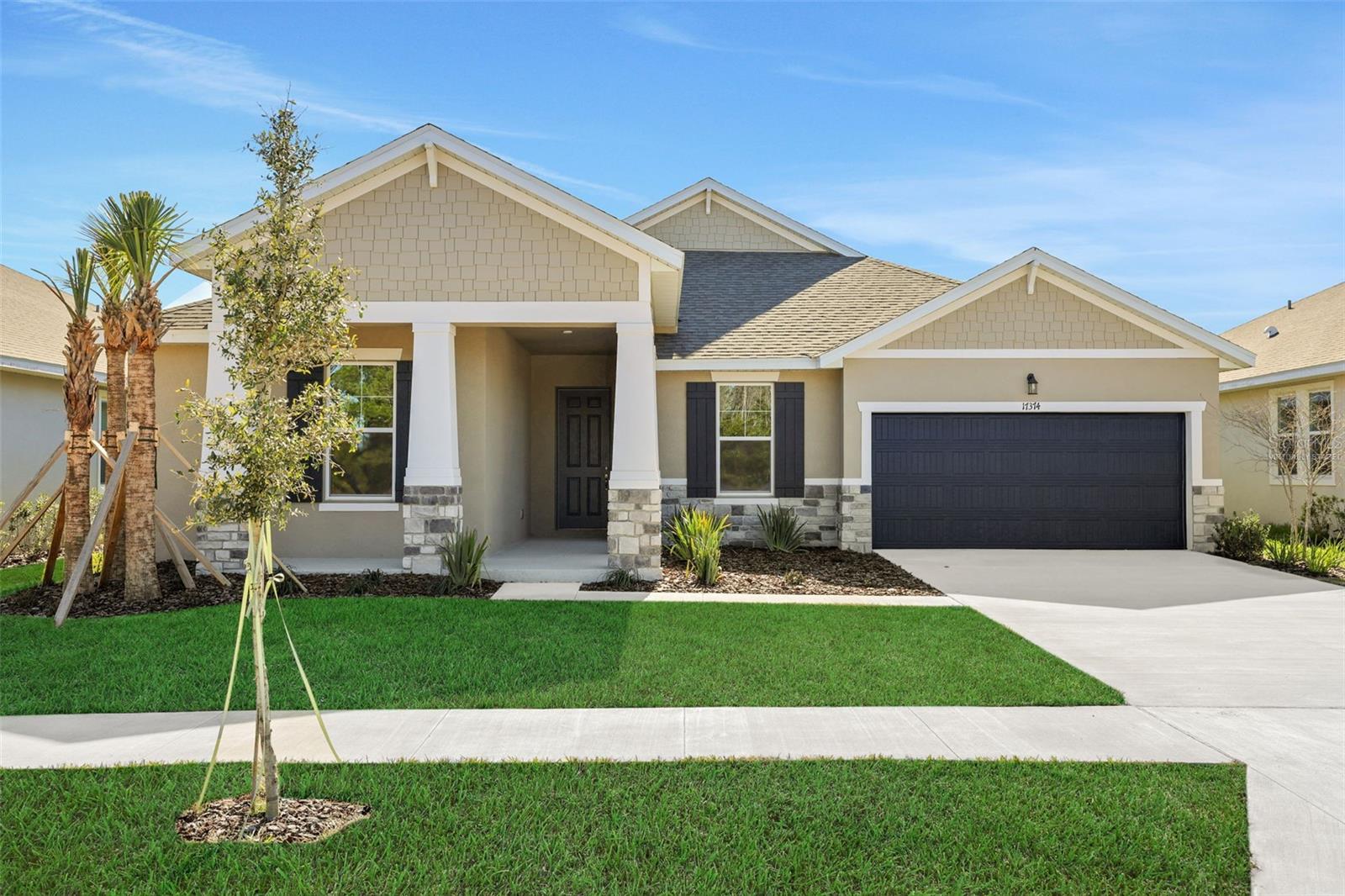 17374 Crisp Apple Ln, Land O Lakes, FL 34638 photo