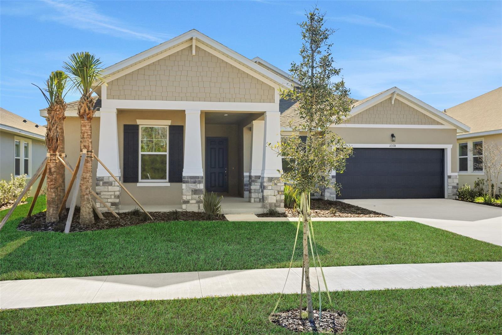 17374 Crisp Apple Ln, Land O Lakes, FL 34638 photo