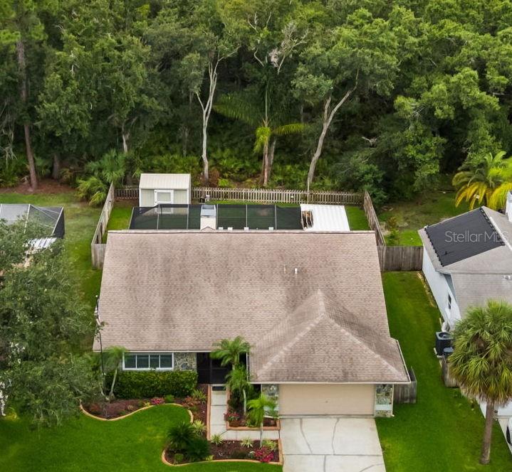 11910 Steppingstone Blvd, Tampa, FL 33635 photo