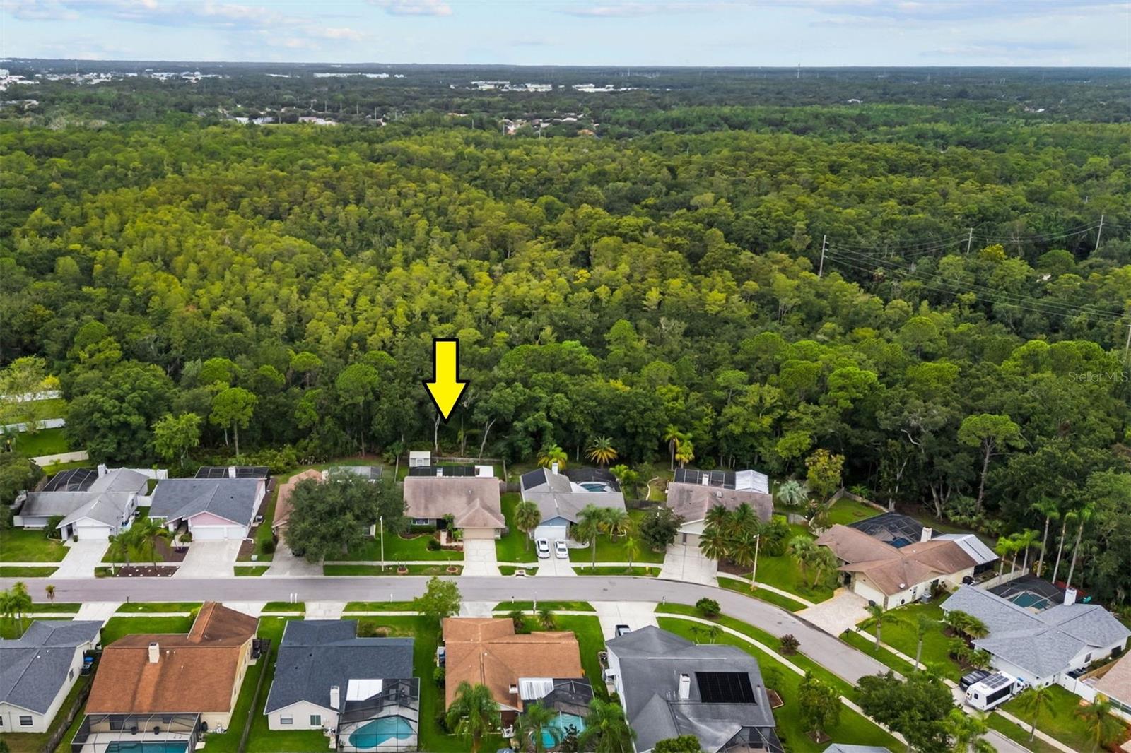 11910 Steppingstone Blvd, Tampa, FL 33635 photo