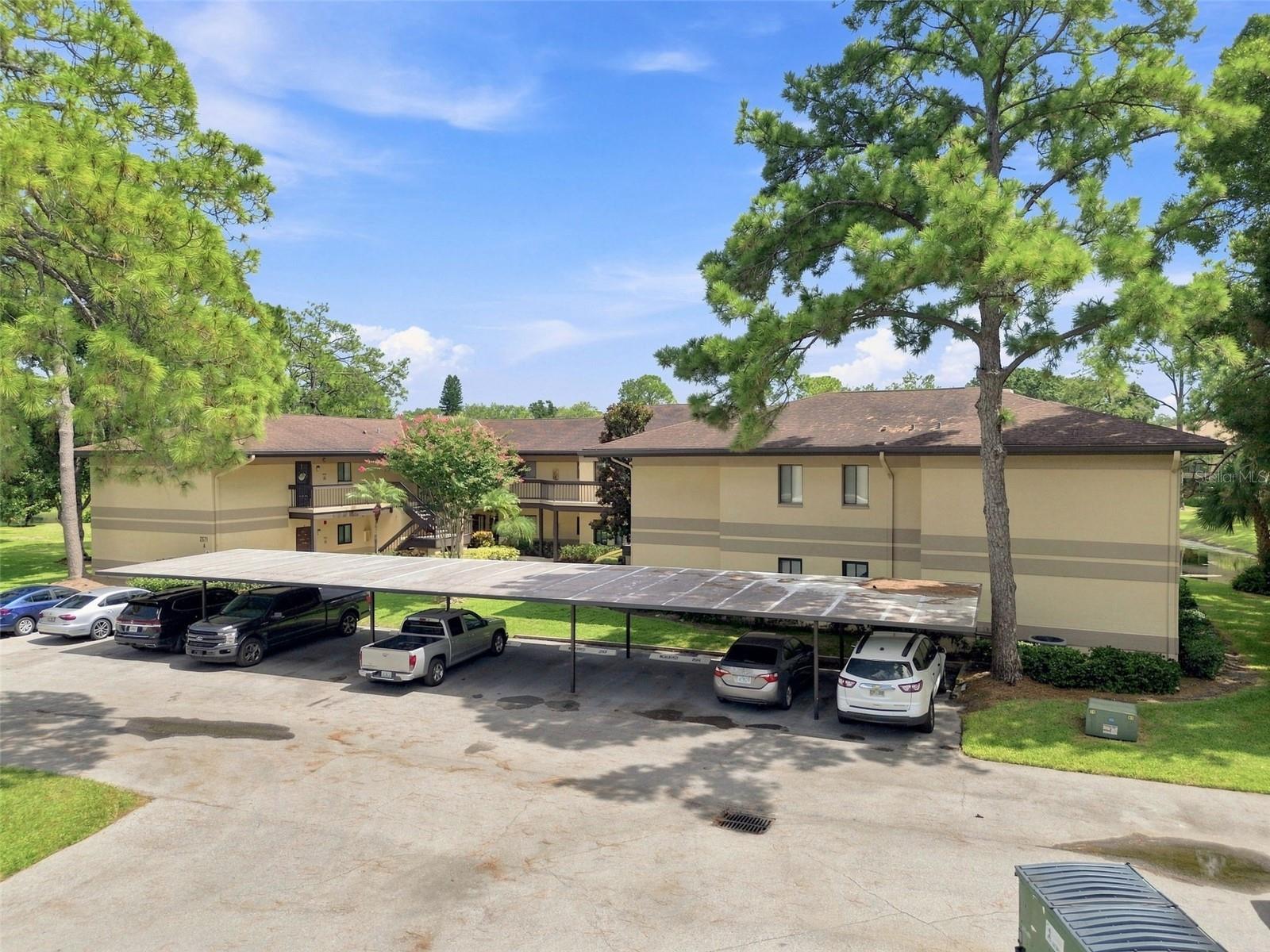 2671 Sabal Spring Cir #103, Clearwater, FL 33761 photo
