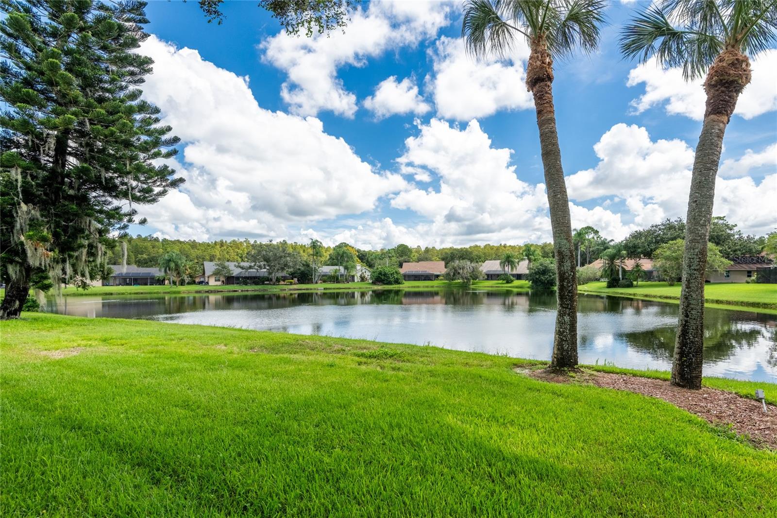 17509 Tally Hollow Ct, Odessa, FL 33556 photo
