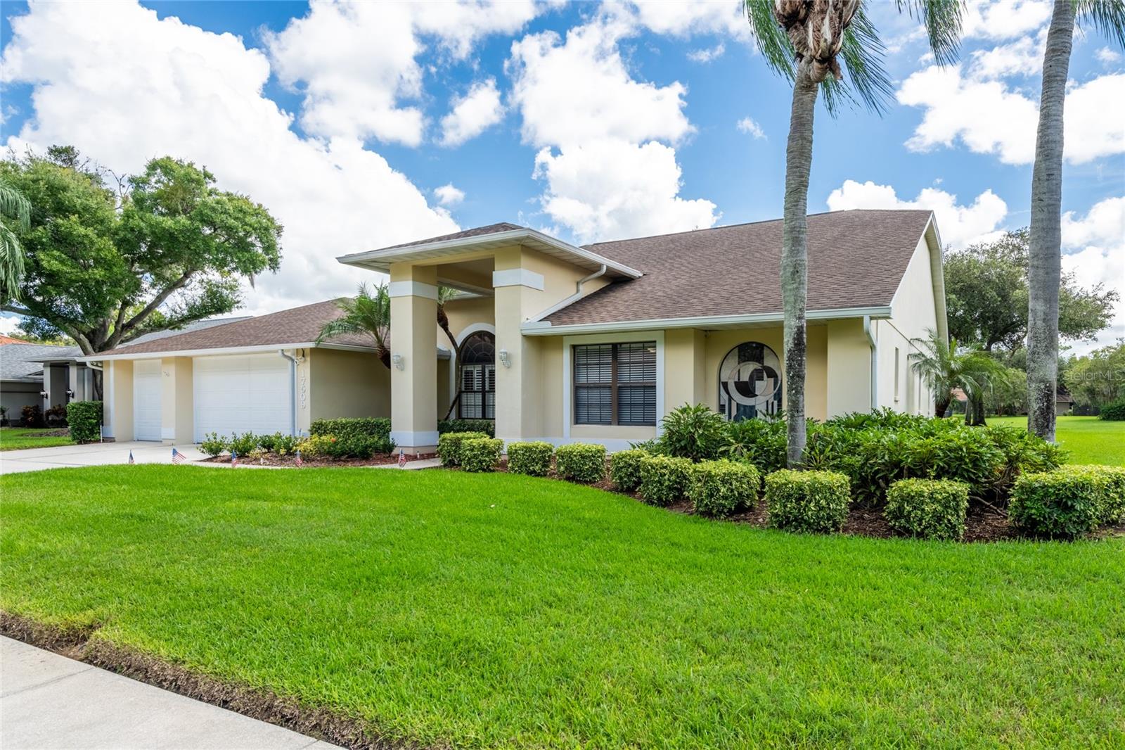 17509 Tally Hollow Ct, Odessa, FL 33556 photo