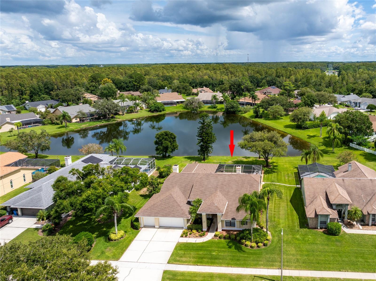 17509 Tally Hollow Ct, Odessa, FL 33556 photo