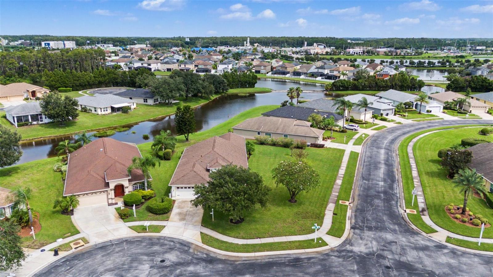 12027 Fern Terrace Ct, Trinity, FL 34655 photo