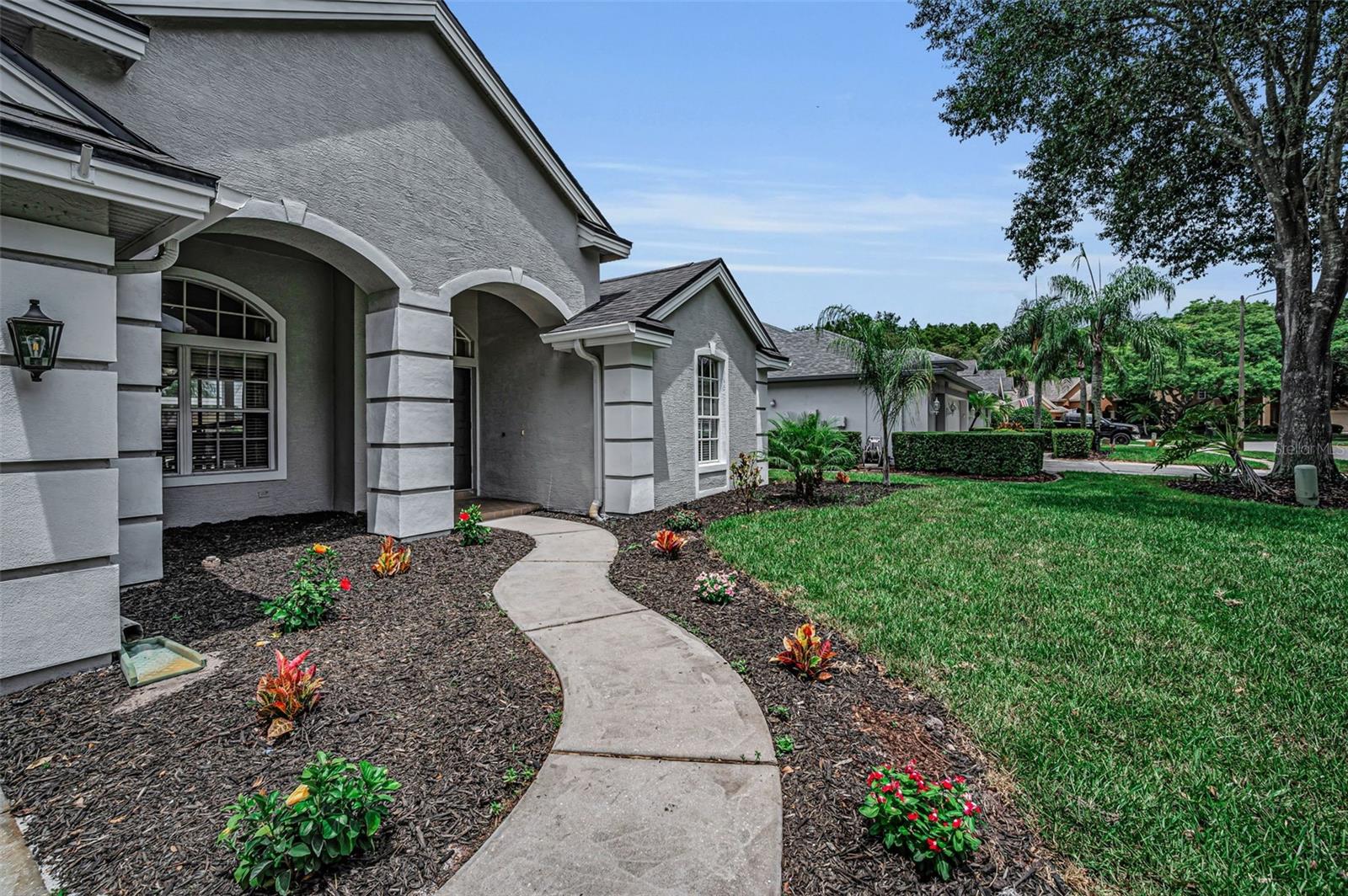 4084 Ligustrum Dr, Palm Harbor, FL 34685 photo