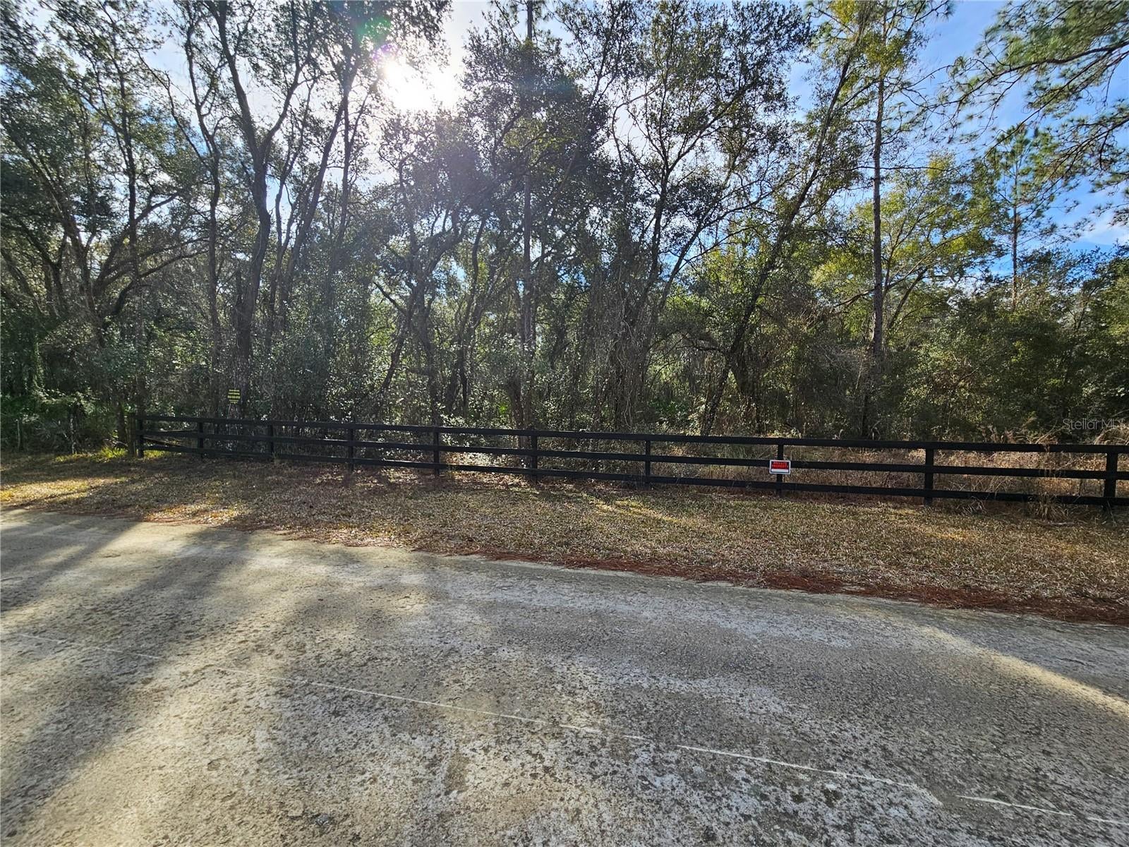 Rosehill Dr, Webster, FL 33597 photo
