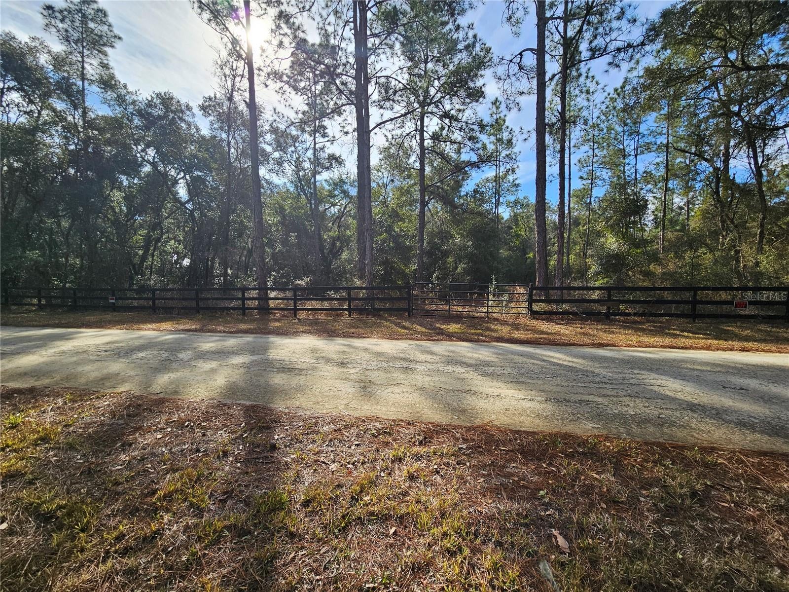 Rosehill Dr, Webster, FL 33597 photo