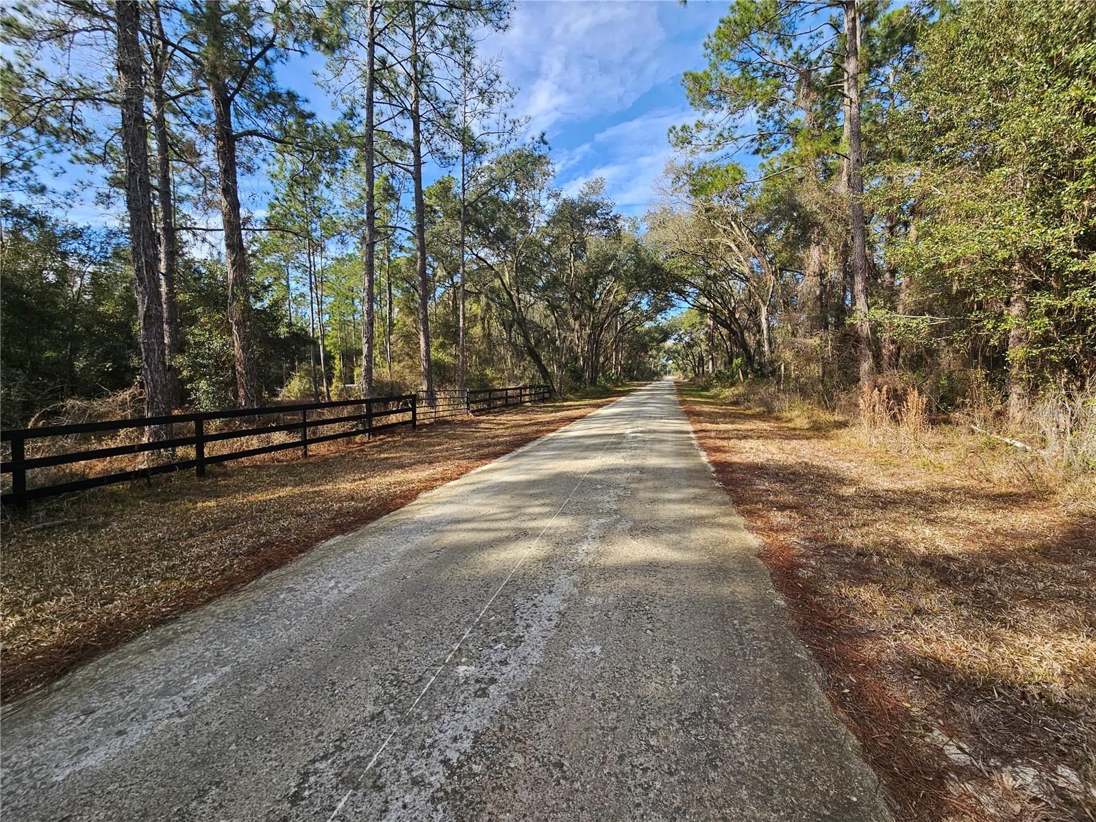 Rosehill Dr, Webster, FL 33597 photo