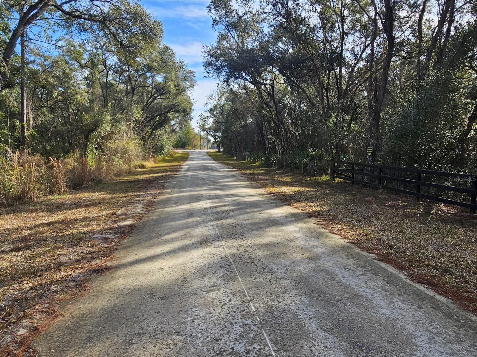 Rosehill Dr, Webster, FL 33597 photo