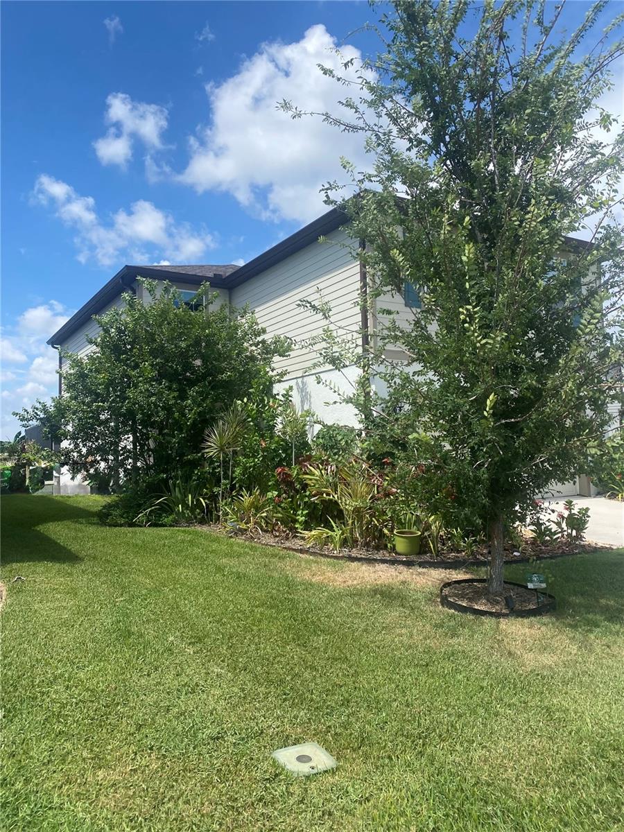 9126 Royal River Cir, Parrish, FL 34219 photo