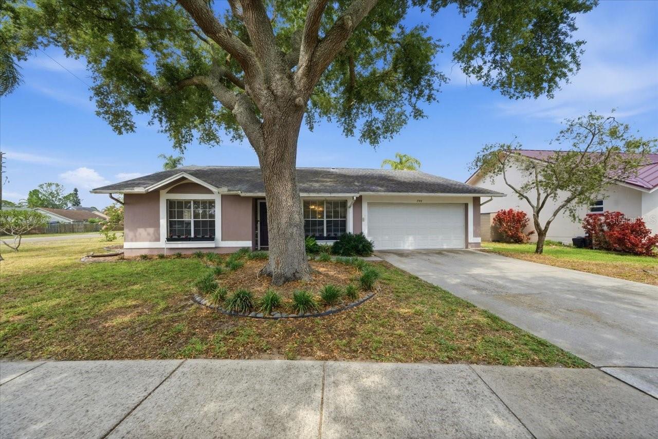798 Countryshire Ln, Palm Harbor, FL 34683