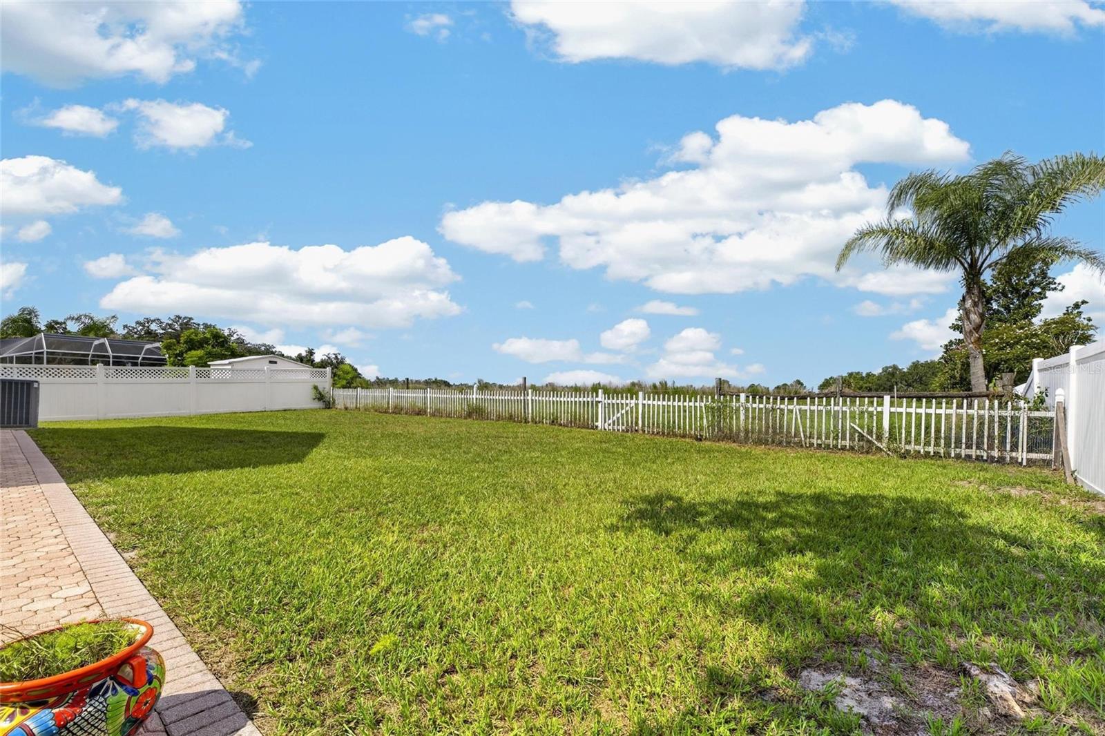 10303 Tarragon Dr, Riverview, FL 33569 photo