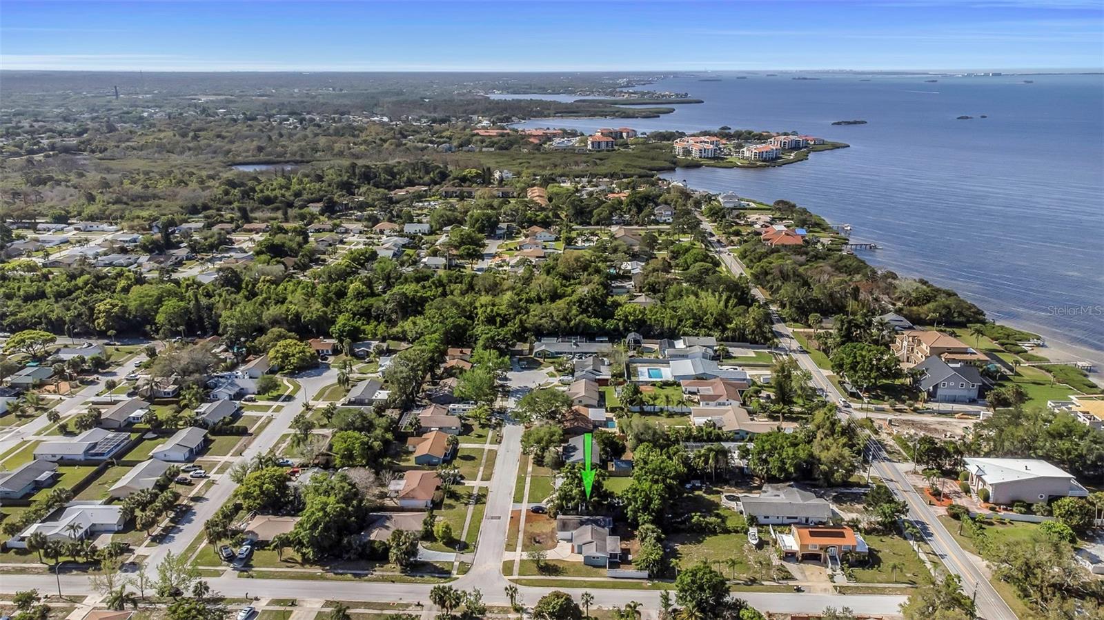 1004 Greenleaf Way, Tarpon Springs, FL 34689 photo