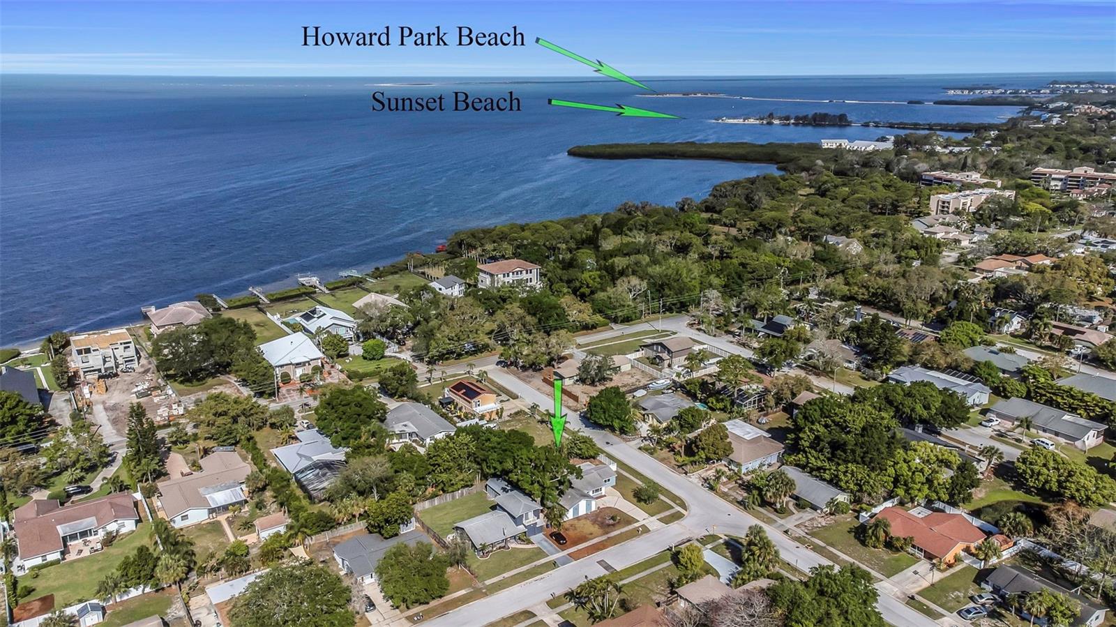 1004 Greenleaf Way, Tarpon Springs, FL 34689 photo