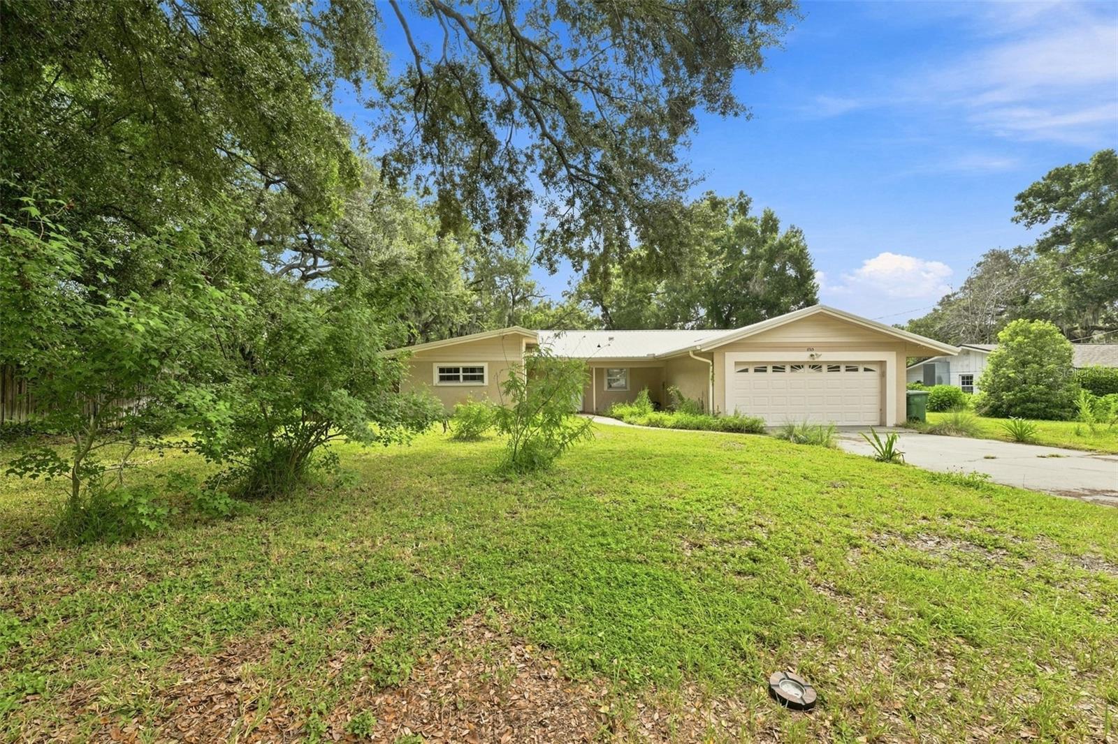 11515 N Ravine Rd, Tampa, FL 33612 photo