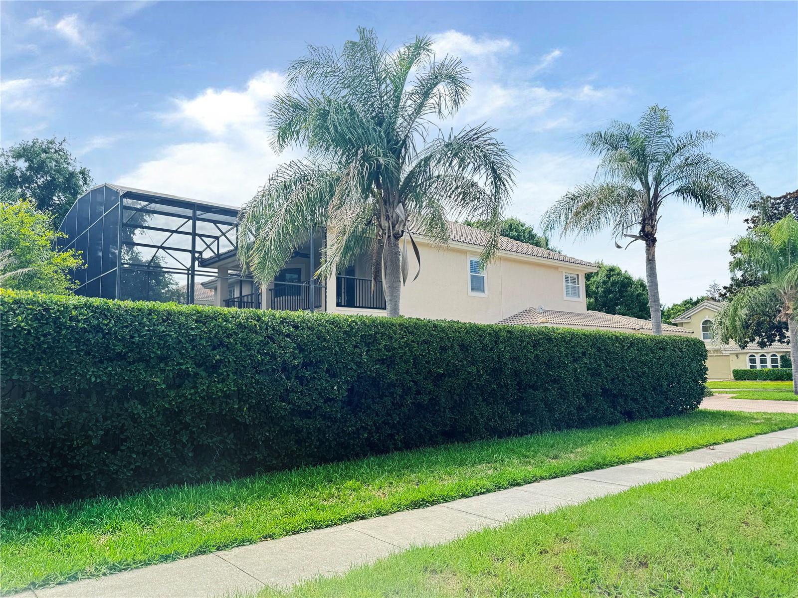 173 Calliope St, Ocoee, FL 34761 photo