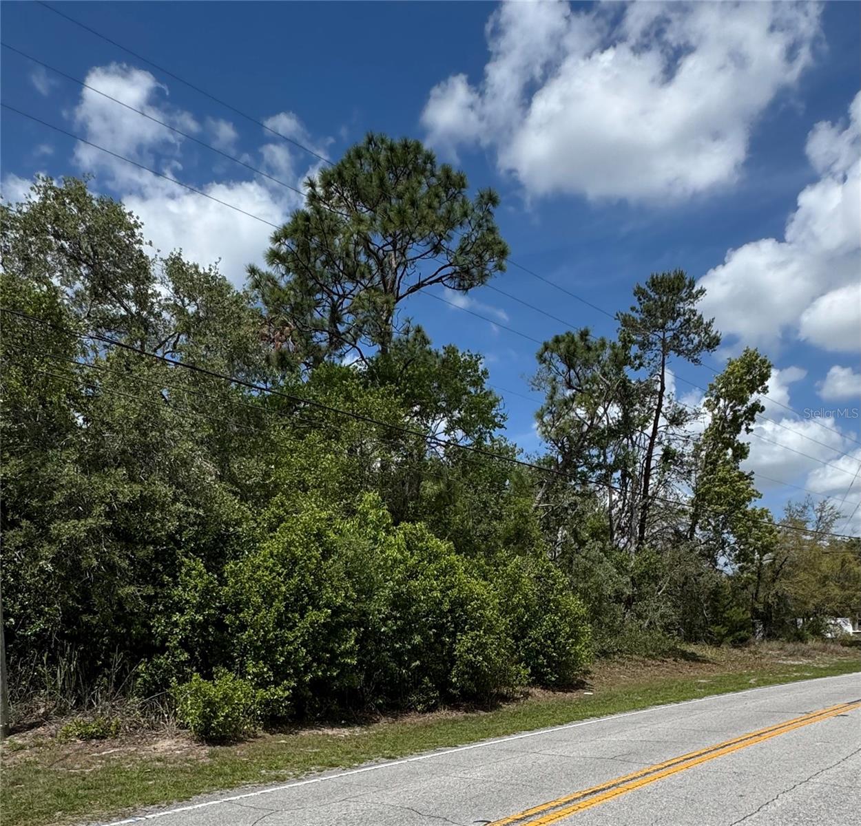2185 Waterfall Dr, Spring Hill, FL 34608 photo
