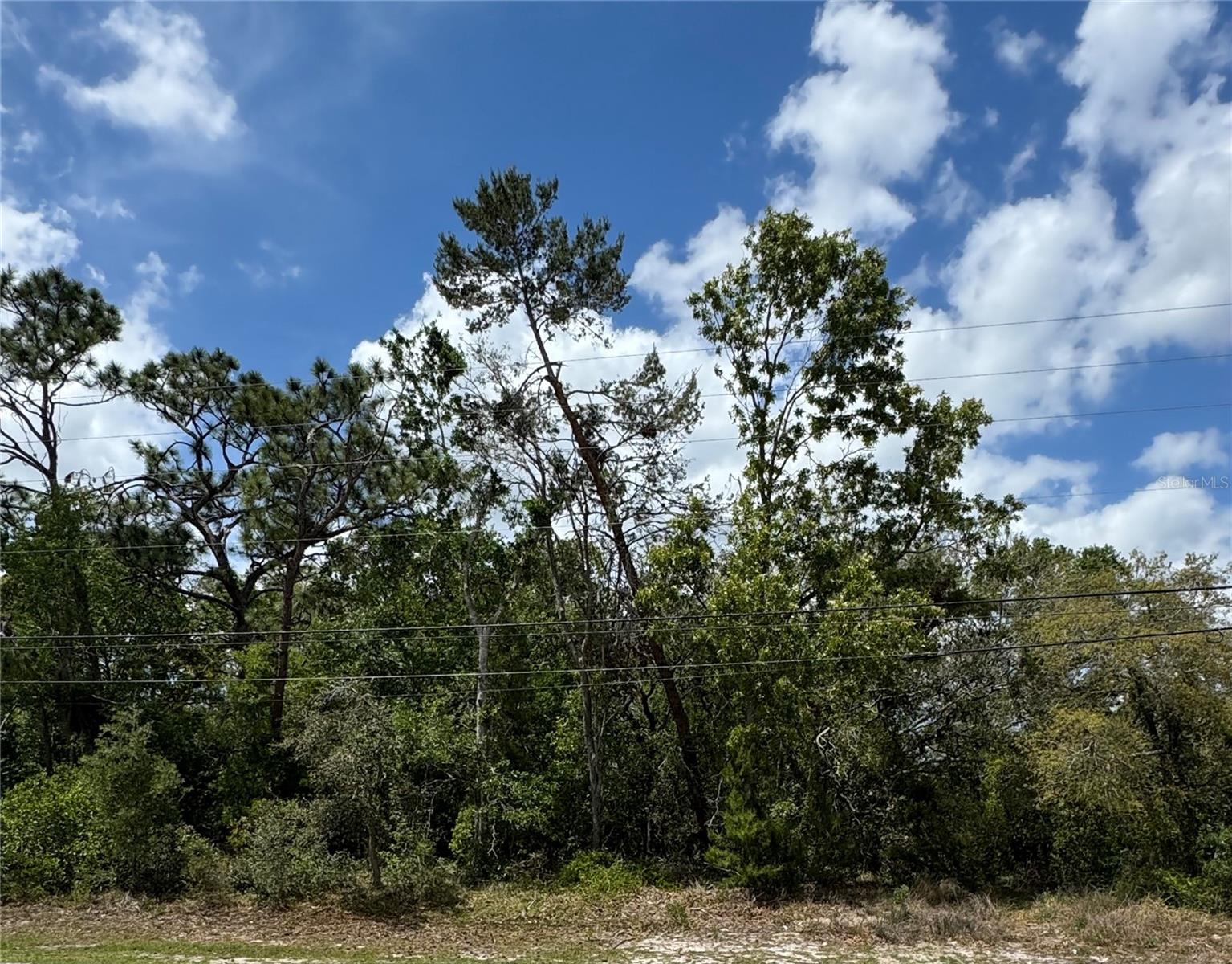 2185 Waterfall Dr, Spring Hill, FL 34608 photo