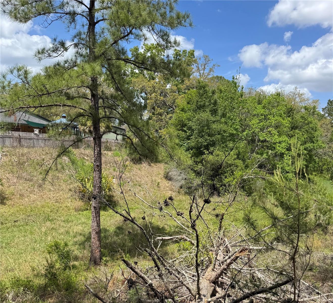 2185 Waterfall Dr, Spring Hill, FL 34608 photo